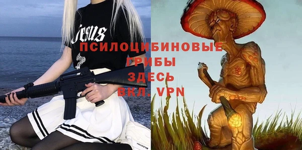 СК Лиски